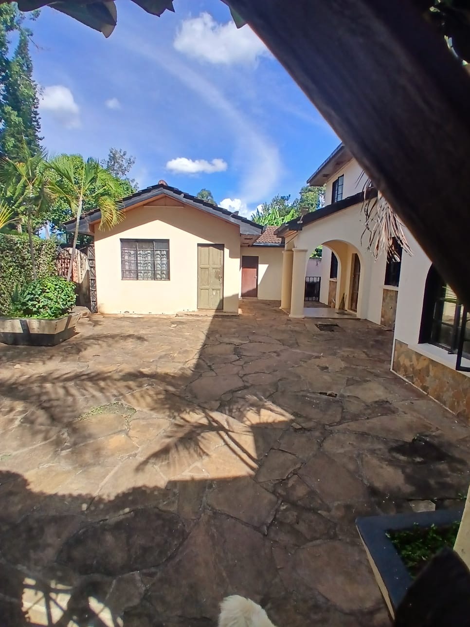 View 8